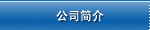 公司简介